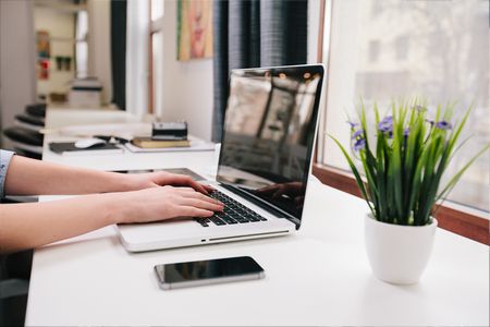 أهمية النباتات الداخلية في بيئة العمل