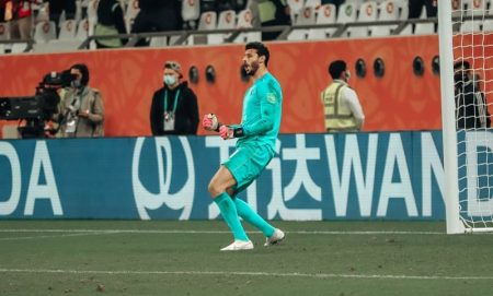 الشناوي