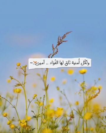 ولكل أمنية تاق لها الفؤاد.. آمين