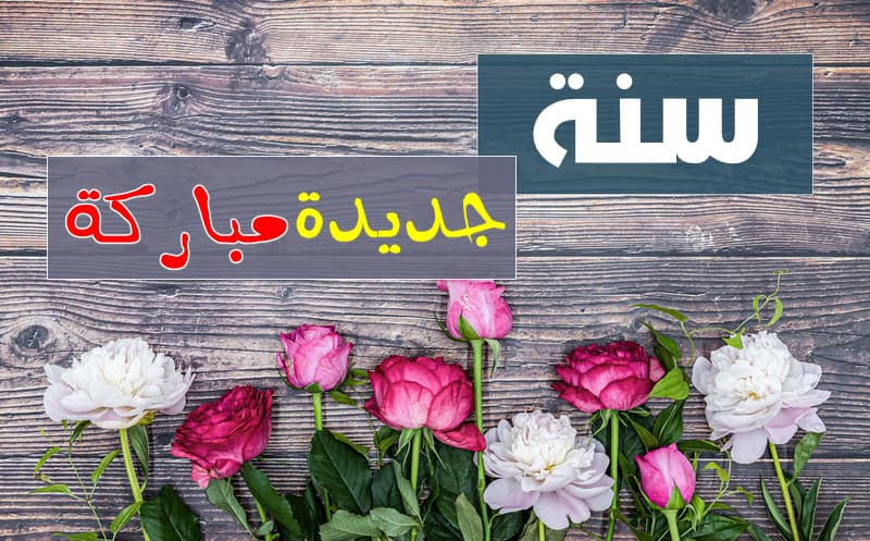 صور عن ٢٠٢٣ جميلة جداً — باقة نزيهة لكل متابعيك