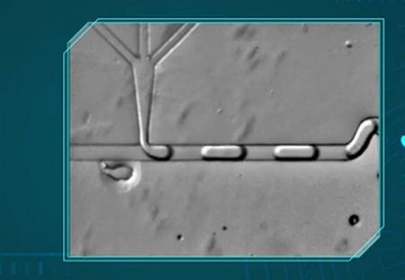 علم الموائع الدقيقة، Microfluidics