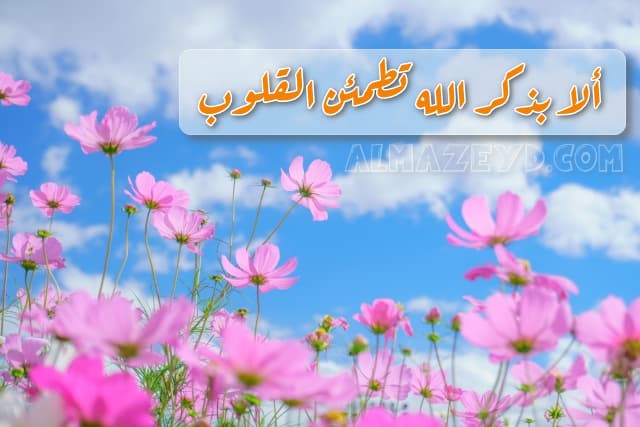 صور ذكر الله