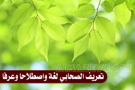 تعريف الصحابي لغة واصطلاحا وعرفا