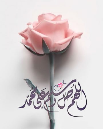 صور عن مولد النبي