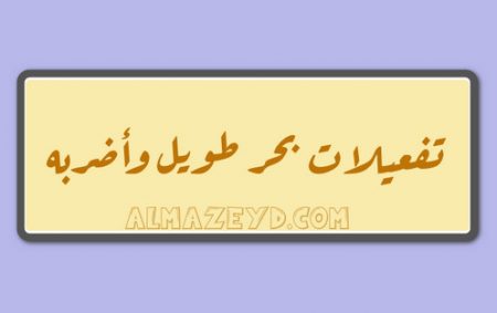 تفعيلات بحر طويل وأضربه