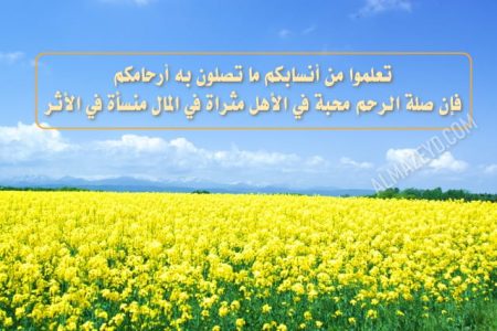 أحاديث عن صلة الرحم