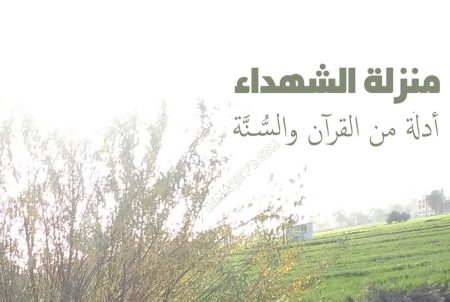 منزلة الشهداء almazeyd.com