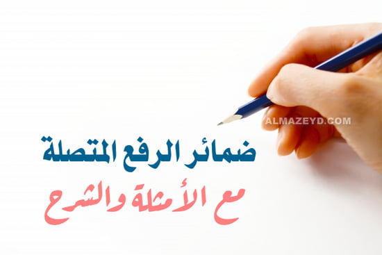 ضمائر الرفع المتصلة , أمثلة