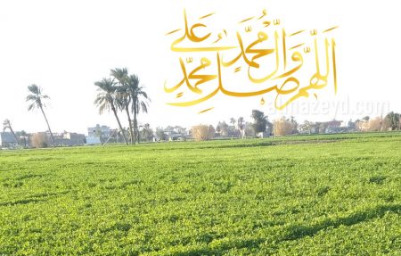 اللهم صل على محمد وال محمد مكتوبة www.almazeyd.com