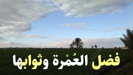 فضل العمرة وثوابها