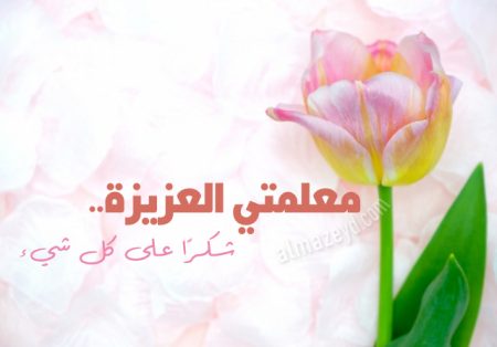 كلمة شكر للمعلمة في عيد الأم