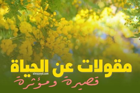 مقولات عن الحياة , اقتباسات قصيرة , أقوال مؤثرة