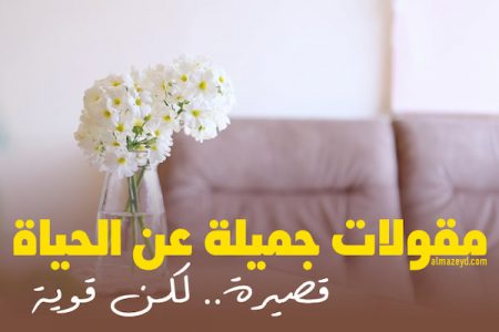 مقولات جميلة عن الحياة