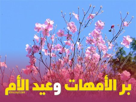 خطبة الجمعة عن بر الأمهات , خطبة عيد الأم