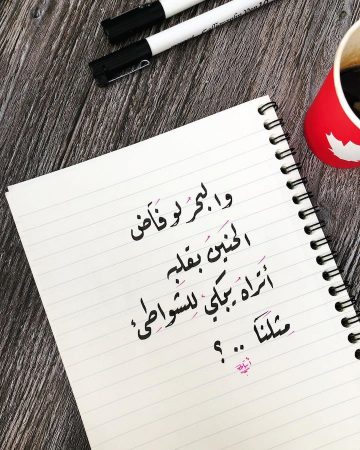 و البحرُ لو فاضَ الحنينُ بقلبهِ أتراهُ يبكي للشواطئ مثلنا؟