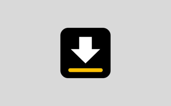 Video downloader