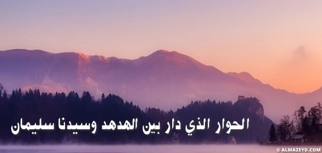 ما الحوار الذي دار بين الهدهد وسيدنا سليمان؟