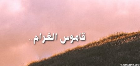 قاموس الغرام «بقلم: أحمد رجب»