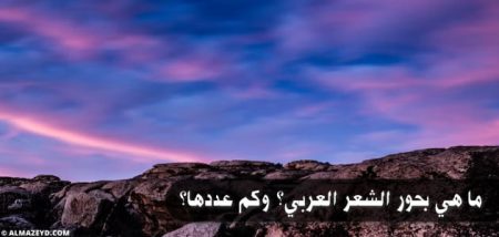 ما هي بحور الشعر العربي؟ وكم عددها؟