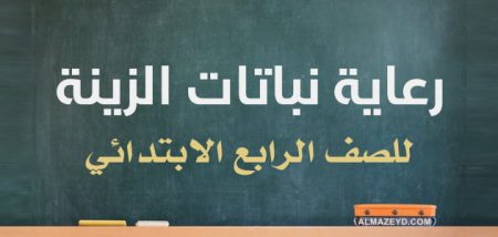 رعاية نباتات الزينة للصف الرابع الابتدائي.. مراجعة الدرس بالأسئلة «وأجوبتها» والمعلومات