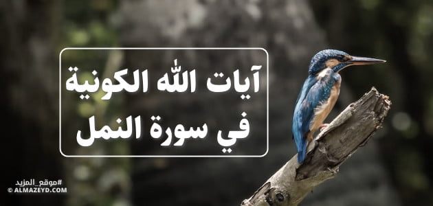 آيات الله الكونية في سورة النمل