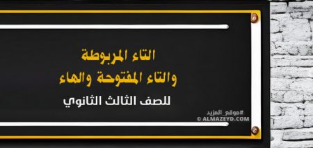 شرح بالأمثلة.. التاء المربوطة والتاء المفتوحة والهاء للصف الثالث الثانوي