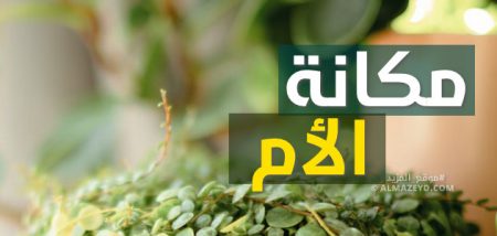 مكانة الأم التي بيَّنها النبي ﷺ في الحديث الشريف