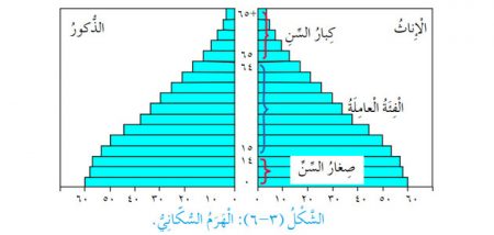 تلخيص + حل أسئلة درس «التركيب النوعي والتركيب العمري للسكان» للصف السادس – الجغرافيا – الفصل الثاني