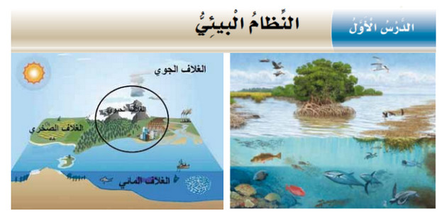 تلخيص + حل أسئلة درس «النظام البيئي» للصف السادس – الجغرافيا – الفصل الثاني