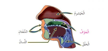 #3 الجزء الثالث: تلخيص مادة التربية الإسلامية للصف السادس «الأردني» الفصل الثاني