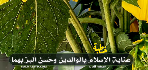 خطبة حول عناية الإسلام بالوالدين وحُسن البرّ بهما – مكتوبة