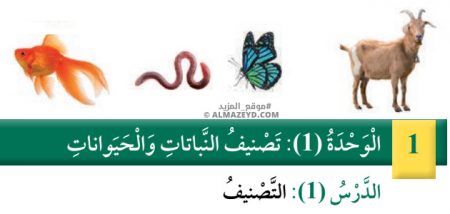 تلخيص وحل أسئلة درس: التصنيف – علوم – الصف الرابع الابتدائي «الأردني» – الفصل الدراسي الأول