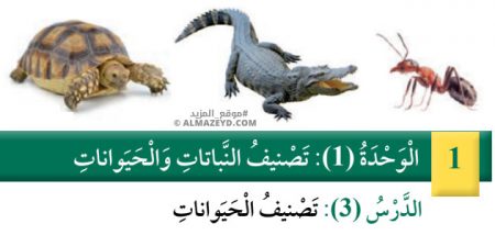 تلخيص وحل أسئلة درس: تصنيف الحيوانات – علوم – الصف الرابع الابتدائي «الأردني» – الفصل الدراسي الأول