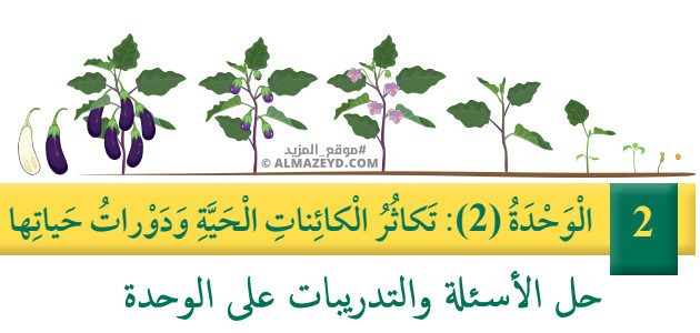 حل أسئلة وتمارين الوحدة الثانية: تكاثر الكائنات الحية ودورات حياتها – علوم – الصف الرابع الابتدائي «الأردني» – الفصل الدراسي الأول