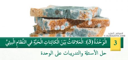 حل أسئلة وتمارين الوحدة الثالثة: العلاقات بين الكائنات الحية في النظام البيئي – علوم – الصف الرابع الابتدائي «الأردني» – الفصل الدراسي الأول