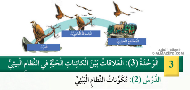 تلخيص وحل أسئلة درس: مكونات النظام البيئي – علوم – الصف الرابع الابتدائي «الأردني» – الفصل الدراسي الأول