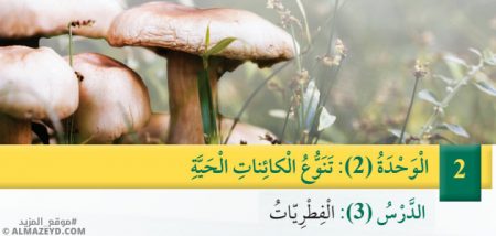 تلخيص وحل أسئلة درس: الفطريات – علوم 5 ابتدائي «أردني» الفصل الأول