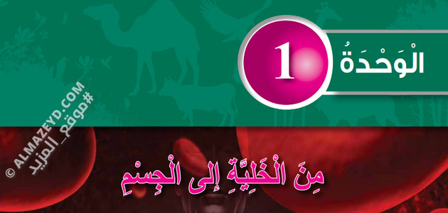 حل مراجعة الوحدة 1 «من الخلية إلى الجسم» علوم 6 ابتدائي «أردني» الفصل الأول