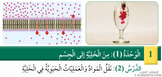 تلخيص وحل أسئلة درس: نقل المواد والعمليات الحيوية في الخلية – علوم 6 ابتدائي «أردني» الفصل الأول