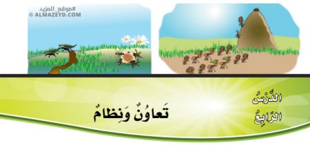 تلخيص وحل أسئلة درس: تعاون ونظام – اللغة العربية – الصف الرابع الابتدائي «الأردني» – الفصل الدراسي الأول