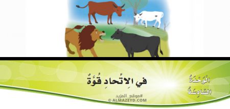 تدريبات القواعد وحل أسئلة درس: في الاتحاد قوة – لغة عربية – 5 ابتدائي «أردني» الفصل الأول