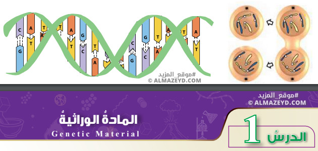 تلخيص وحل أسئلة درس: المادة الوراثية – علوم 8 أساسي «أردني» الفصل الأول