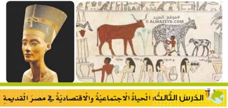 تلخيص وحل أسئلة درس: الحياة الاجتماعية والاقتصادية في مصر القديمة – تاريخ 9 أساسي «أردني» الفصل الأول