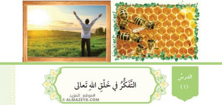 تلخيص وحل أسئلة درس: التفكر في خلق الله ﷻ – تربية إسلامية 10 «أردني» الفصل الأول
