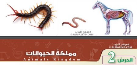 تلخيص وحل أسئلة درس: مملكة الحيوانات – علوم 7 أساسي «أردني» الفصل الأول