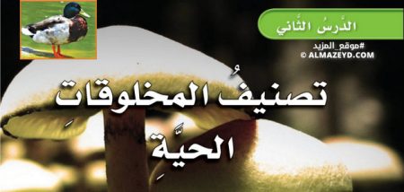 حل أسئلة درس: تصنيف المخلوقات الحية – علوم الصف الرابع الابتدائي «السعودي» بالفصل الدراسي الأول