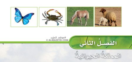 مراجعة وحل أسئلة الفصل الثاني «المملكة الحيوانية» علوم الصف الرابع الابتدائي «السعودي» بالفصل الدراسي الأول