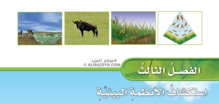مراجعة وحل أسئلة الفصل الثالث «استكشاف الأنظمة البيئية» علوم الصف الرابع الابتدائي «السعودي» بالفصل الدراسي الأول