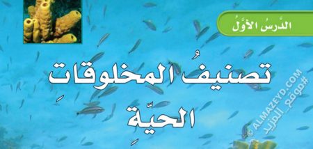 تلخيص درس: تصنيف المخلوقات الحية – علوم 5 ابتدائي «سعودي» الفصل الدراسي الأول