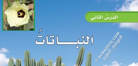تلخيص درس: النباتات – علوم 5 ابتدائي «سعودي» الفصل الدراسي الأول